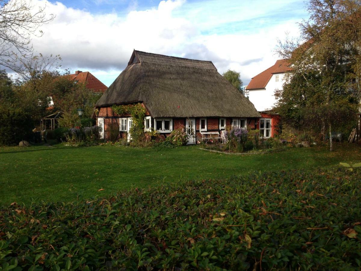 FeWo Boddenblick - Ostseebad Ostseeheilbad Zingst Exterior foto